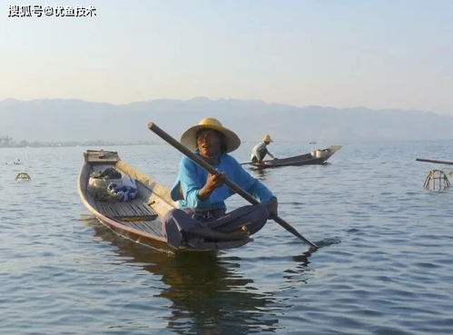 優(yōu)魚技術(shù)水質(zhì)監(jiān)測系統(tǒng),讓水產(chǎn)養(yǎng)殖更加科學