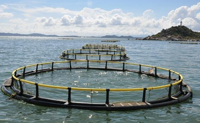 水產養殖賺錢前景,發財致富指日可待-牧之驕