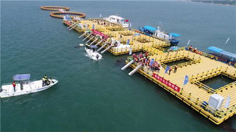 經(jīng)濟(jì)日?qǐng)?bào) 聚焦榮成 帶你揭秘 吃 海新招式