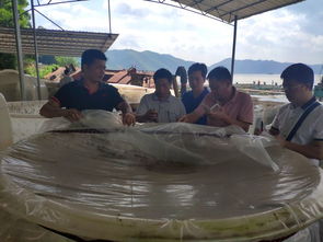 廣西自治區(qū)水產(chǎn)技術(shù)推廣總站率專家團隊到梧州調(diào)研水產(chǎn)養(yǎng)殖綠色發(fā)展情況