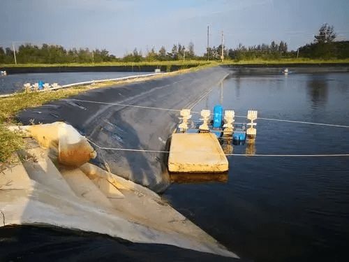 水產(chǎn)養(yǎng)殖還不會用菌 有哪些注意事項 你都用對了嗎 干貨滿滿