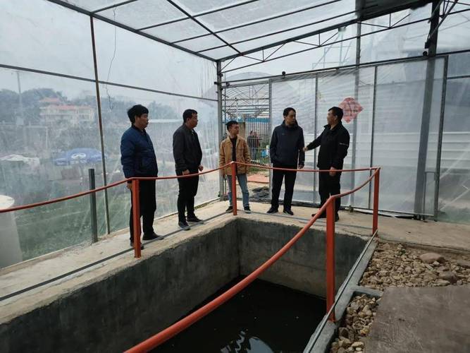 水產(chǎn)養(yǎng)殖尾水達(dá)標(biāo)排放,省水技總站專家組團(tuán)來(lái)南調(diào)研_治理_企業(yè)_技術(shù)