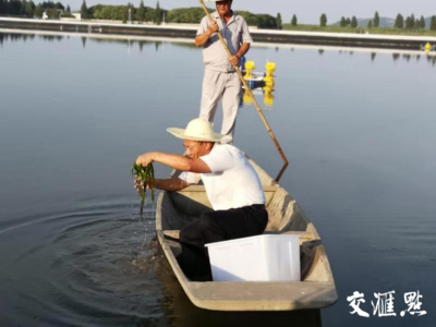 祖國(guó) 我想對(duì)你說(shuō)