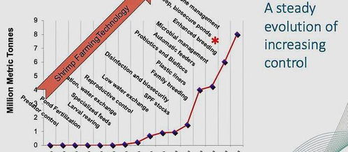 在科技創(chuàng)新的驅(qū)動(dòng)下,水產(chǎn)養(yǎng)殖聯(lián)盟預(yù)測(cè),五年后對(duì)蝦產(chǎn)量或翻倍