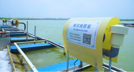 &ldquo;讓農(nóng)民穿著西裝養(yǎng)魚&rdquo;