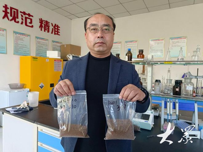 新型飼料實現(xiàn)豆粕減量,每只雞養(yǎng)殖成本可降低0.5元