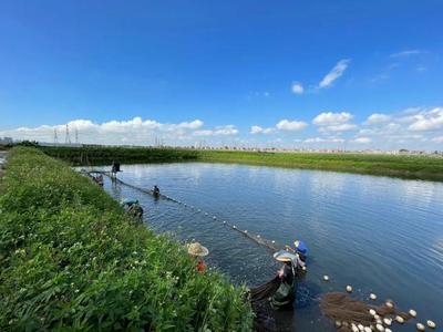 養(yǎng)魚就是養(yǎng)水,廠家如何研發(fā)有效調(diào)水產(chǎn)品?|陳昌福專欄