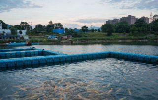 浙江省湖州市 調研水產飼料企業和漁業養殖尾水治理工作