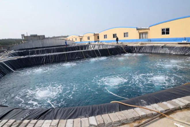 水產界女CEO花25年打造飼料、蝦苗、動保小產業鏈 !如今她聘請泰國專家、聯手正大,發力蝦苗板塊 | 尋找中國好蝦苗