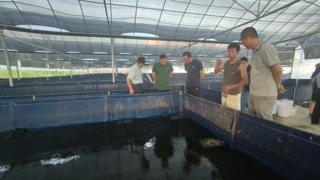 技術(shù)大拿間的&ldquo;夢(mèng)幻聯(lián)動(dòng)&rdquo;!海之味與集美大學(xué)水產(chǎn)學(xué)院達(dá)成戰(zhàn)略合作,開啟牛蛙技術(shù)研發(fā)新篇章