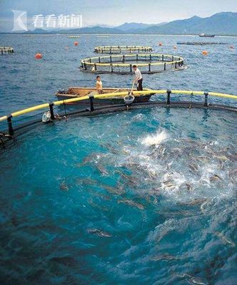 上海研發(fā)深遠(yuǎn)海養(yǎng)殖工船 未來可培育品質(zhì)接近野生的海魚
