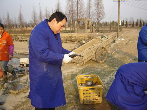 新冠肺炎疫情對(duì)漁業(yè)影響與春季生產(chǎn)技術(shù)指導(dǎo)意見 以江西為例