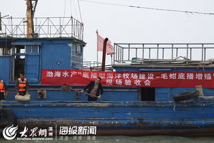 渤海水產(chǎn) 濱州 毛蚶苗種規(guī)模化中間培育與底播增殖通過專家現(xiàn)場驗(yàn)收