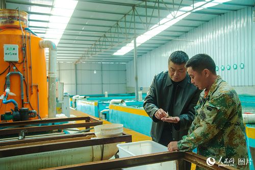 四川營山 專家助力水產(chǎn)養(yǎng)殖增收