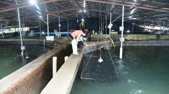 全國水產(chǎn)養(yǎng)殖尾水排放要求標準技術(shù)調(diào)研工作交流會在天馬科技集團圓滿召開 天馬科技