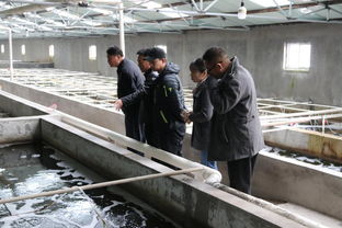 天津市水產(chǎn)產(chǎn)業(yè)技術(shù)體系創(chuàng)新團(tuán)隊(duì)首席專(zhuān)家邢克智教授帶隊(duì)赴東麗區(qū) 濱海新區(qū)指導(dǎo)水產(chǎn)養(yǎng)殖工作