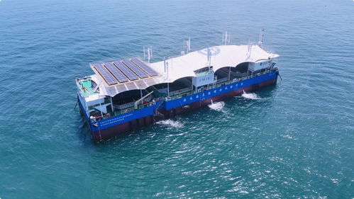 找到 最有價(jià)值 的魚(yú)