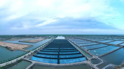 光合蟹業(yè)成功入選首批&ldquo;全國(guó)水產(chǎn)技術(shù)推廣人員培訓(xùn)基地&rdquo;名單