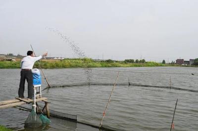 養(yǎng)魚(yú)就是養(yǎng)水,廠家如何研發(fā)有效調(diào)水產(chǎn)品?|陳昌福專(zhuān)欄