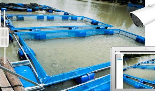 星縱智能lora解決方案在農業中的不同應用