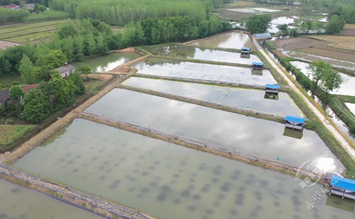 赤壁:打造高質量發展研究院 服務縣域經濟發展