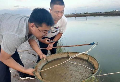 這個(gè)生態(tài)養(yǎng)殖模式,厲害了 年產(chǎn)量達(dá)30多萬(wàn)斤,產(chǎn)值1200萬(wàn)元