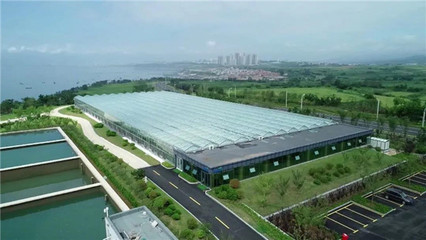 威海藍(lán)碳時(shí)間④ | 先行先試走在前列 藍(lán)色探索不棄寸陰