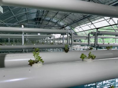 通遼市首家工廠化養(yǎng)魚項(xiàng)目落戶奈曼