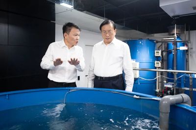 王忠林調(diào)研民營企業(yè)發(fā)展并召開座談會(huì)