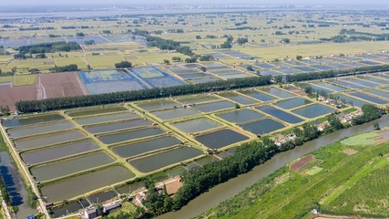 澳洲淡水龍蝦種苗生產(chǎn)孵化企業(yè)湖北首達(dá)農(nóng)業(yè)實(shí)業(yè)獲A輪融資6800萬元