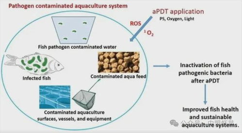 水產(chǎn)養(yǎng)殖出新利器 這項(xiàng)新技術(shù),能夠改變整個(gè)養(yǎng)殖行業(yè)嗎