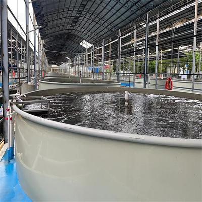 環(huán)控-高密度生態(tài)水產(chǎn)養(yǎng)殖項(xiàng)目-智慧工廠(chǎng)化海水養(yǎng)殖-高單產(chǎn)