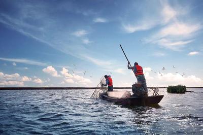 養(yǎng)魚(yú)就是養(yǎng)水,廠(chǎng)家如何研發(fā)有效調(diào)水產(chǎn)品?|陳昌福專(zhuān)欄