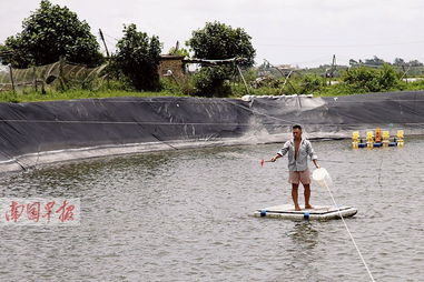 16日焦點(diǎn)圖 文惠路南端綠化帶塌陷