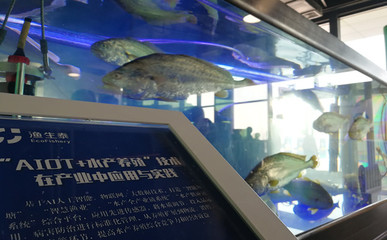 農創客&ldquo;論劍&rdquo;余杭 獲勝者將獲百萬資助