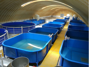 工業(yè)化養(yǎng)殖工程學研究與裝備研發(fā)-中國水產(chǎn)科學研究院漁業(yè)機.