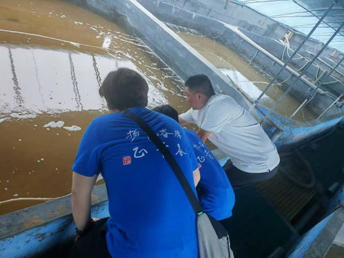 智養科技 為養殖尾水處理裝上 智慧大腦