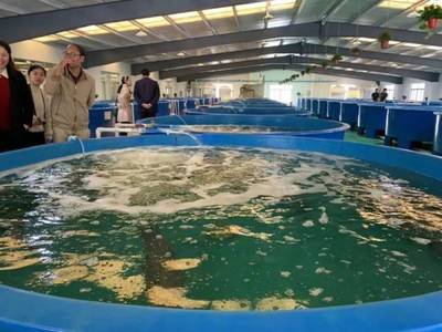 最高規(guī)格!廣東漁業(yè)種業(yè)大閱兵來(lái)了,誰(shuí)是十大名優(yōu)品種?