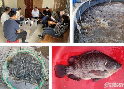 南海所&ldquo;高密度對(duì)蝦+海水羅非魚(yú)異位串聯(lián)的生物絮團(tuán)零換水養(yǎng)殖技術(shù)&rdquo;試驗(yàn)示范通過(guò)測(cè)產(chǎn)驗(yàn)收