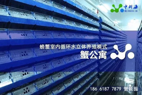 4月，這些先進的養(yǎng)殖設(shè)備和技術(shù)將集體亮相廈門 | ‘金磚’水產(chǎn)盛會邀請函