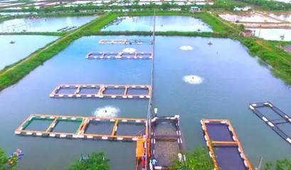 喜訊！斗門8家企業榮登省級水產養殖榜單，實力彰顯產業新高度