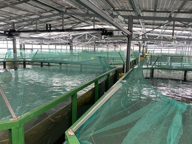 浙江首批“未來農場”公布 十大休閑觀光新地標，體驗未來農業新魅力