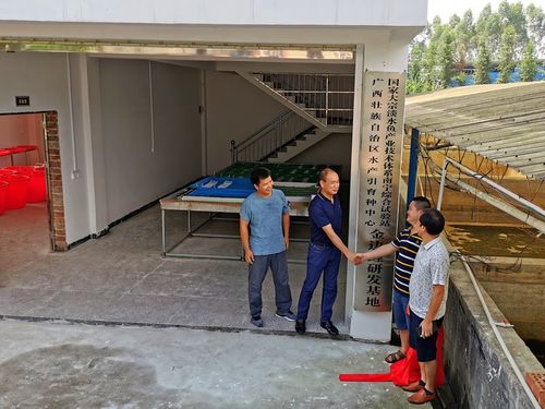 深耕八桂漁水情，科技扶貧譜新篇——記廣西水產引育種中心大宗淡水魚產業技術扶貧團隊