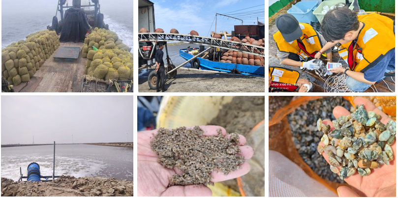 科技創(chuàng)新驅(qū)動水產(chǎn)養(yǎng)殖業(yè)高質(zhì)量發(fā)展——我校兩項科技成果榮獲中國水產(chǎn)學會范蠡科學技術獎