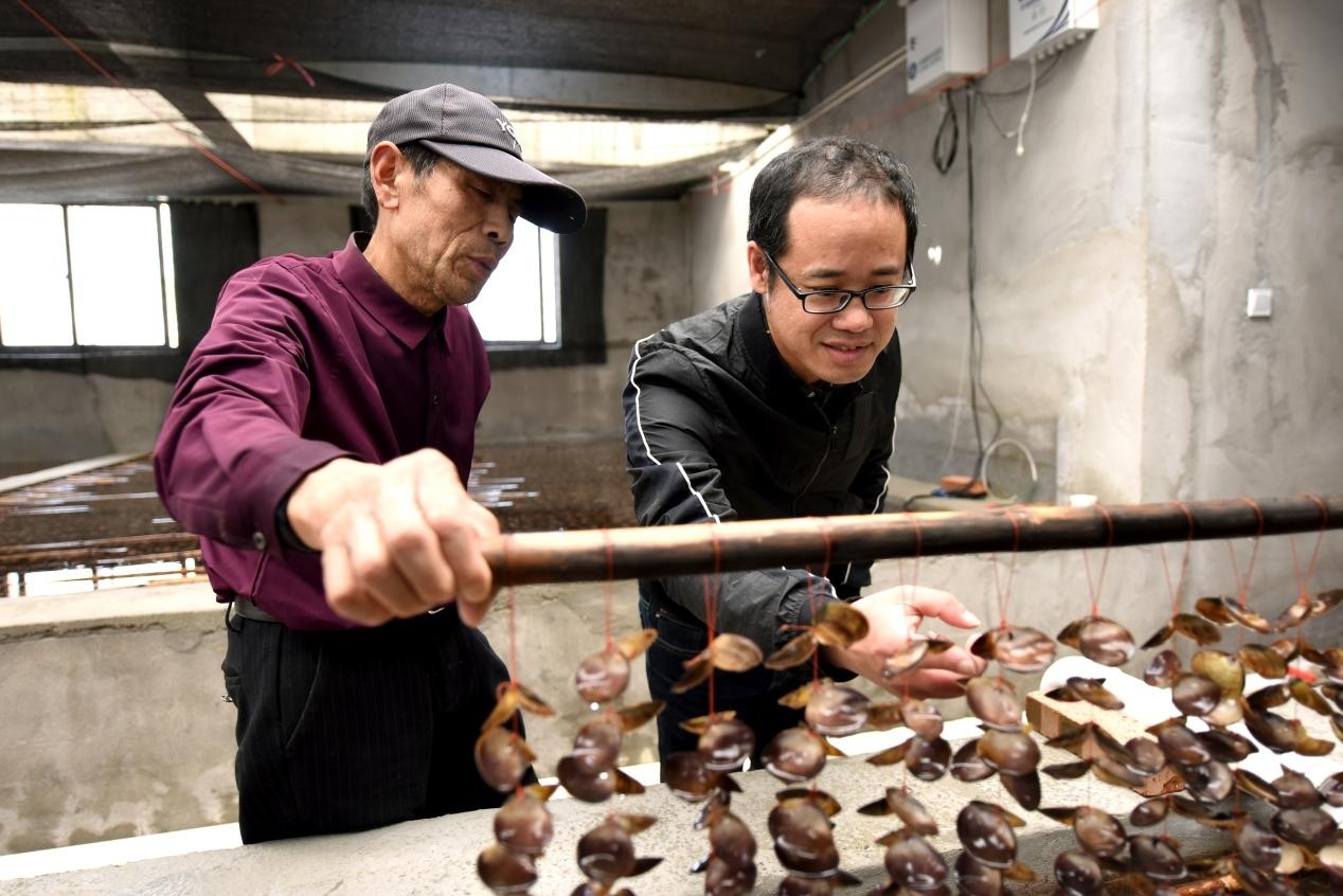 溫州洞頭 巡視整改出成效，海島漁業(yè)大“聚變”